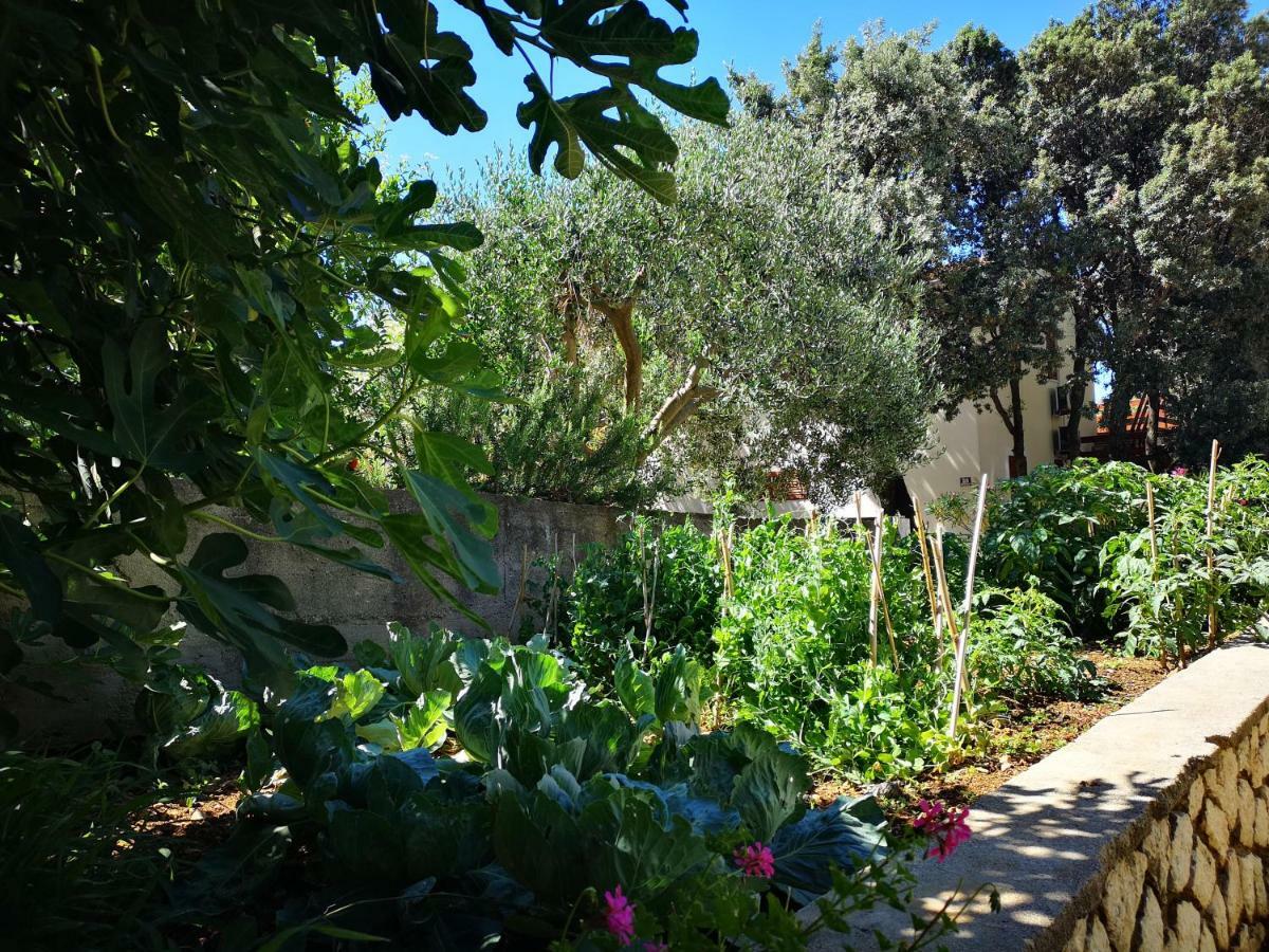 Apartments Milena 8 Mandre Εξωτερικό φωτογραφία