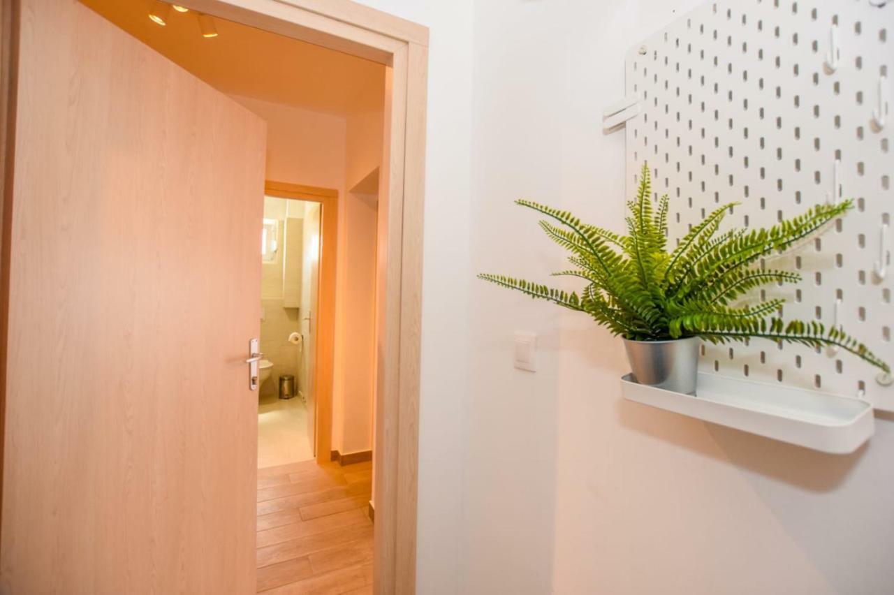 Apartments Milena 8 Mandre Εξωτερικό φωτογραφία